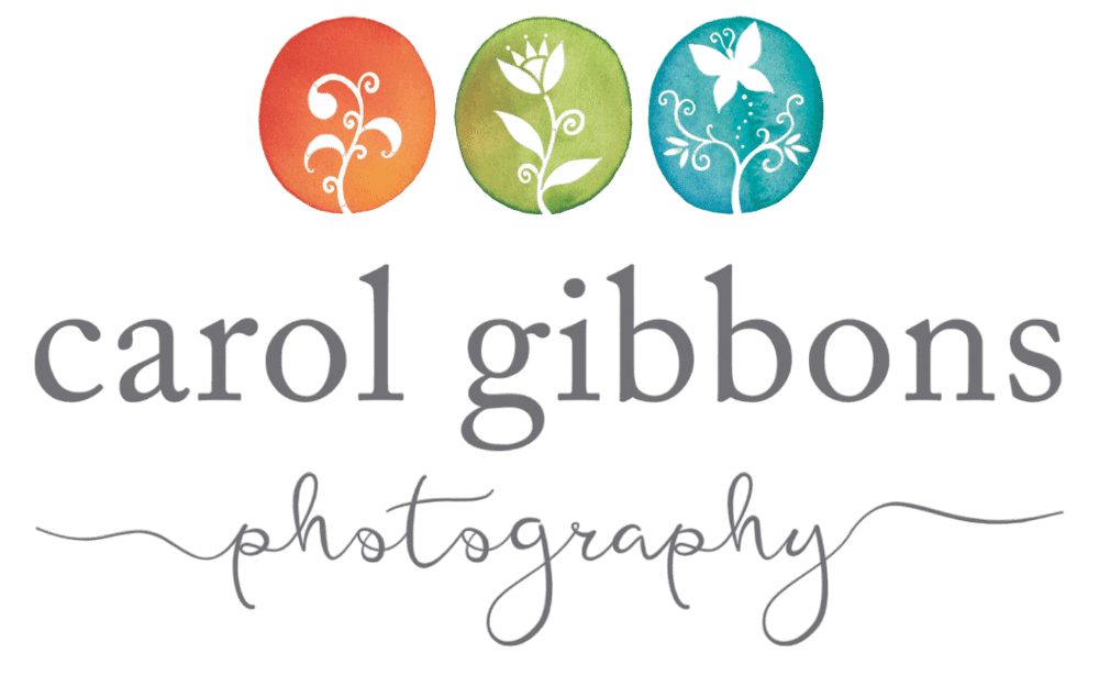 Carol Gibbons Photography logo
